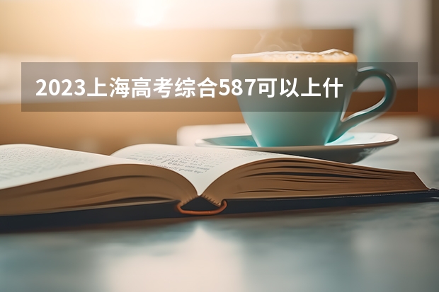 2023上海高考综合587可以上什么大学