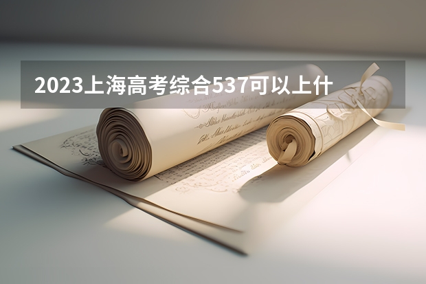 2023上海高考综合537可以上什么大学