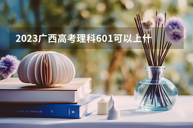 2023广西高考理科601可以上什么大学