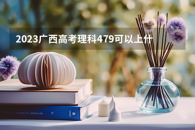 2023广西高考理科479可以上什么大学