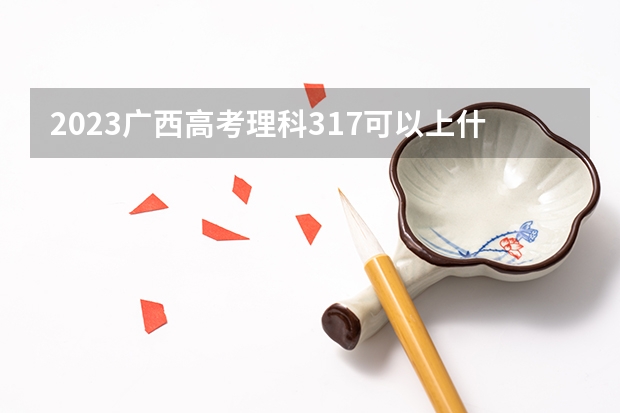 2023广西高考理科317可以上什么大学