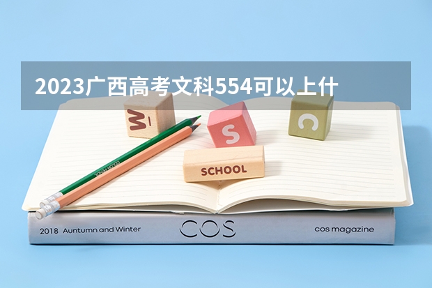 2023广西高考文科554可以上什么大学