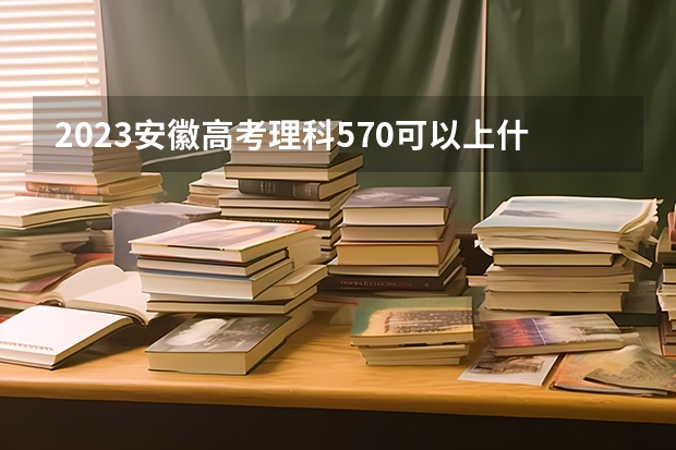 2023安徽高考理科570可以上什么大学