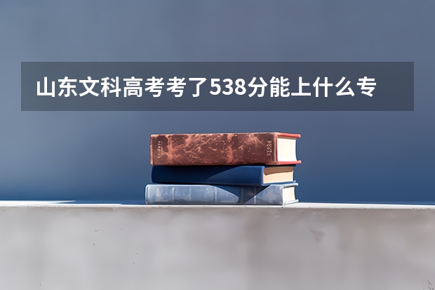 山东文科高考考了538分能上什么专科学校啊？