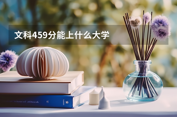 文科459分能上什么大学