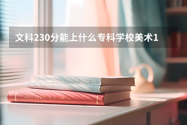 文科230分能上什么专科学校美术179能报