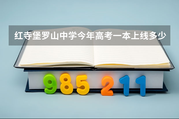 红寺堡罗山中学今年高考一本上线多少人