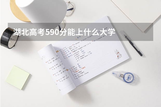 湖北高考590分能上什么大学