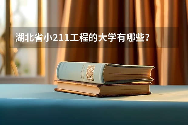 湖北省小211工程的大学有哪些？