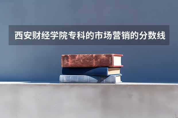 西安财经学院专科的市场营销的分数线是多少?我是文科生!450能上吗?