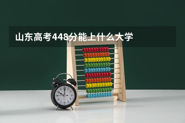 山东高考448分能上什么大学