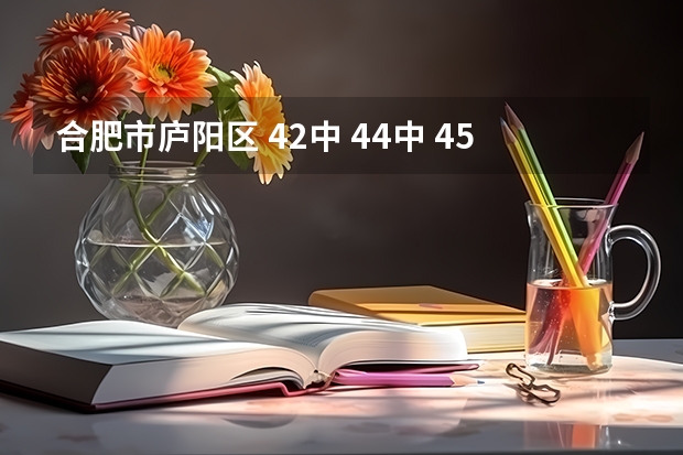 合肥市庐阳区 42中 44中 45中哪个好