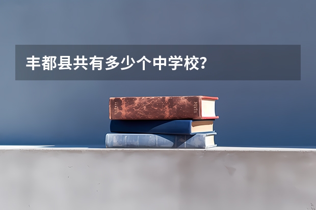 丰都县共有多少个中学校？