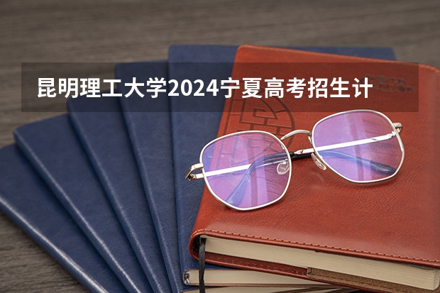 昆明理工大学2024宁夏高考招生计划详解