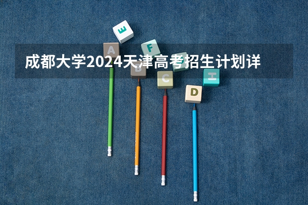 成都大学2024天津高考招生计划详解